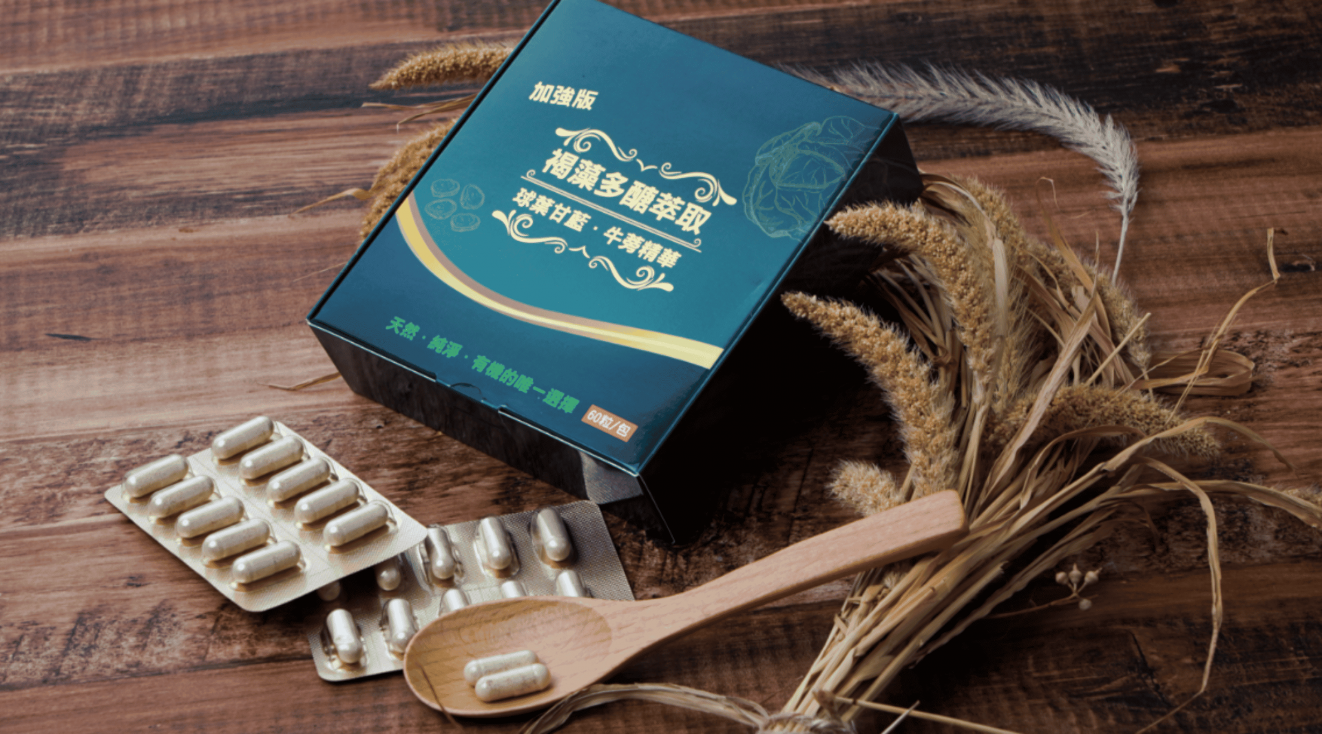 茂生科技 1